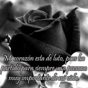 Meet your Posher, Anna clau